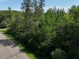 DJI_20250704110059_0001_D