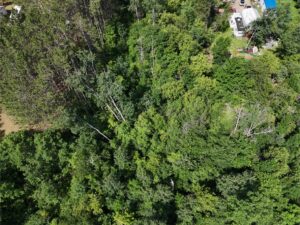 DJI_20250704110356_0008_D