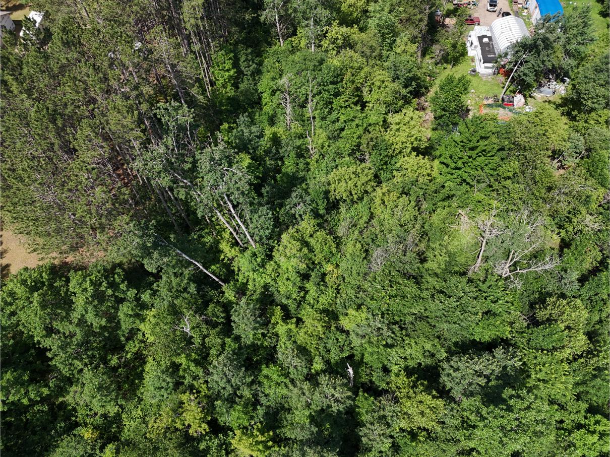 DJI_20250704110356_0008_D