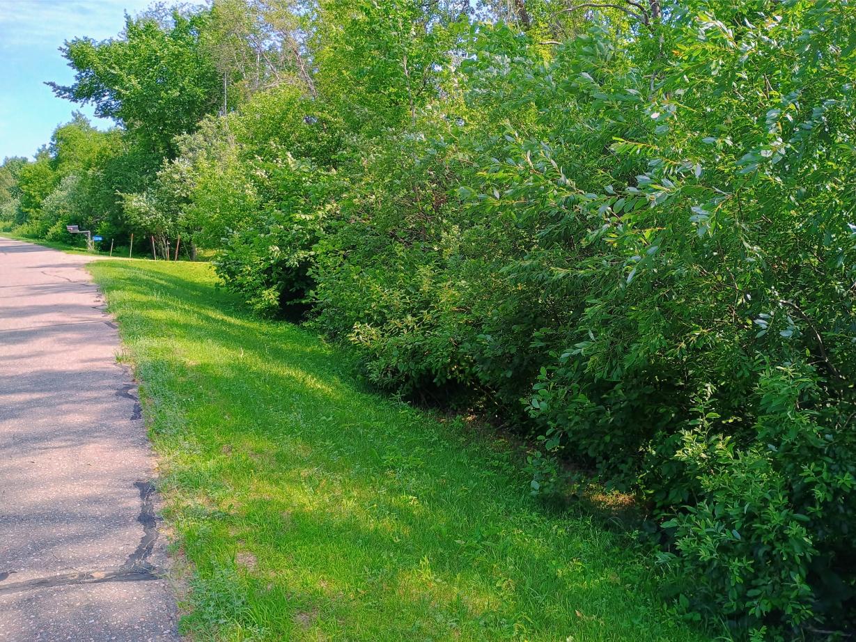 IMG_20250704_104314480_HDR_AE