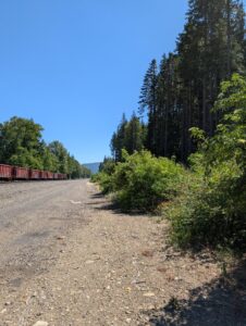 PXL_20250724_195516974.MP