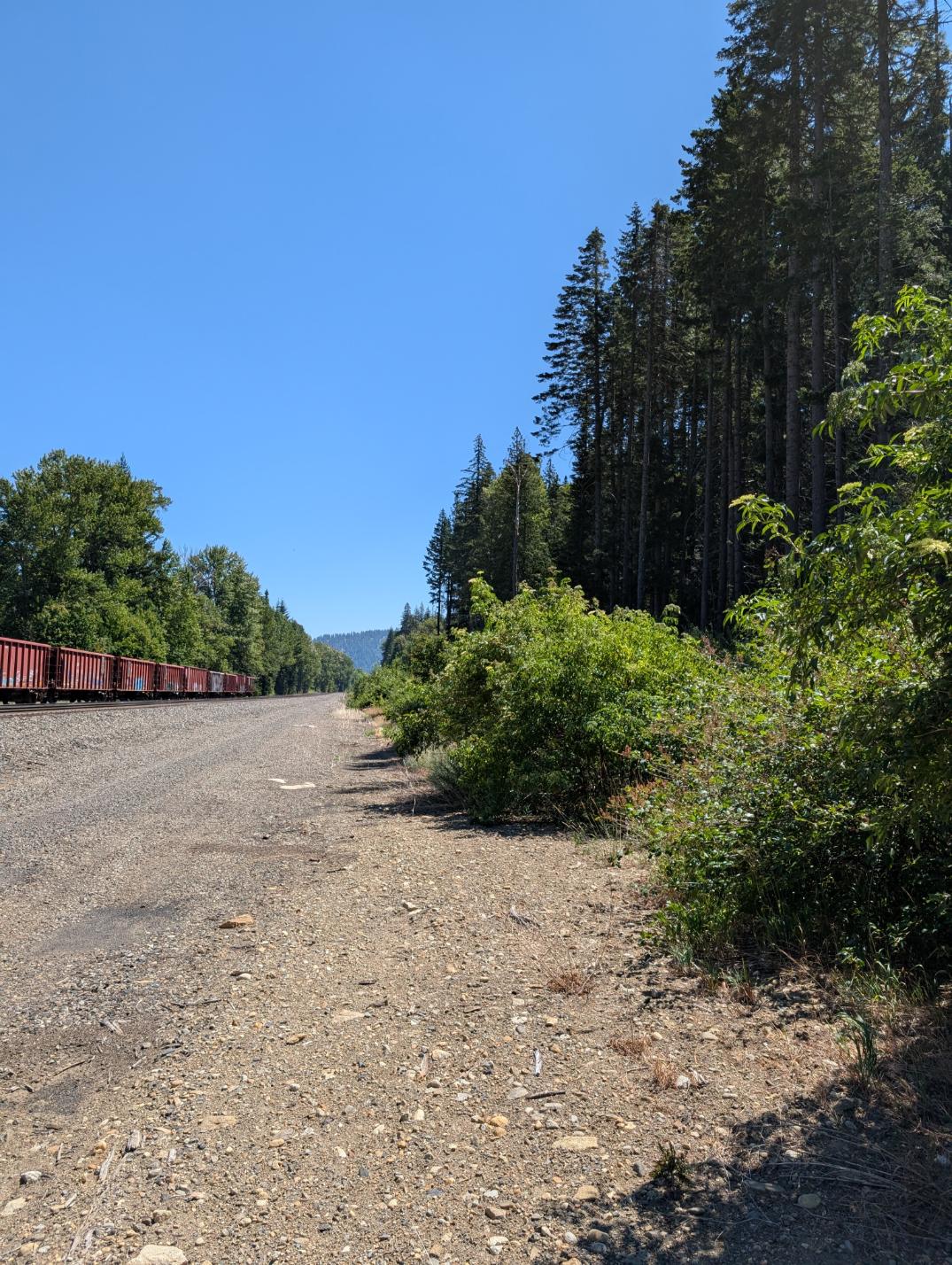 PXL_20250724_195516974.MP