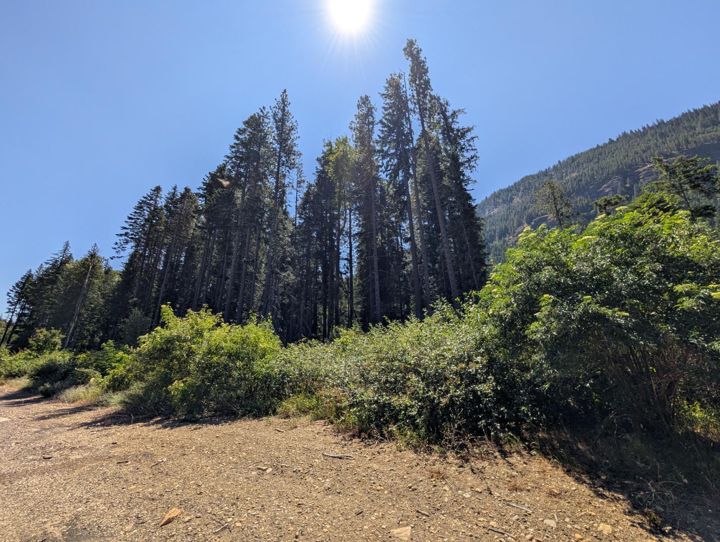 PXL_20250724_195525793