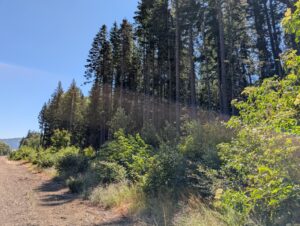 PXL_20250724_195540229