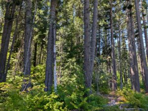 PXL_20250724_195652025