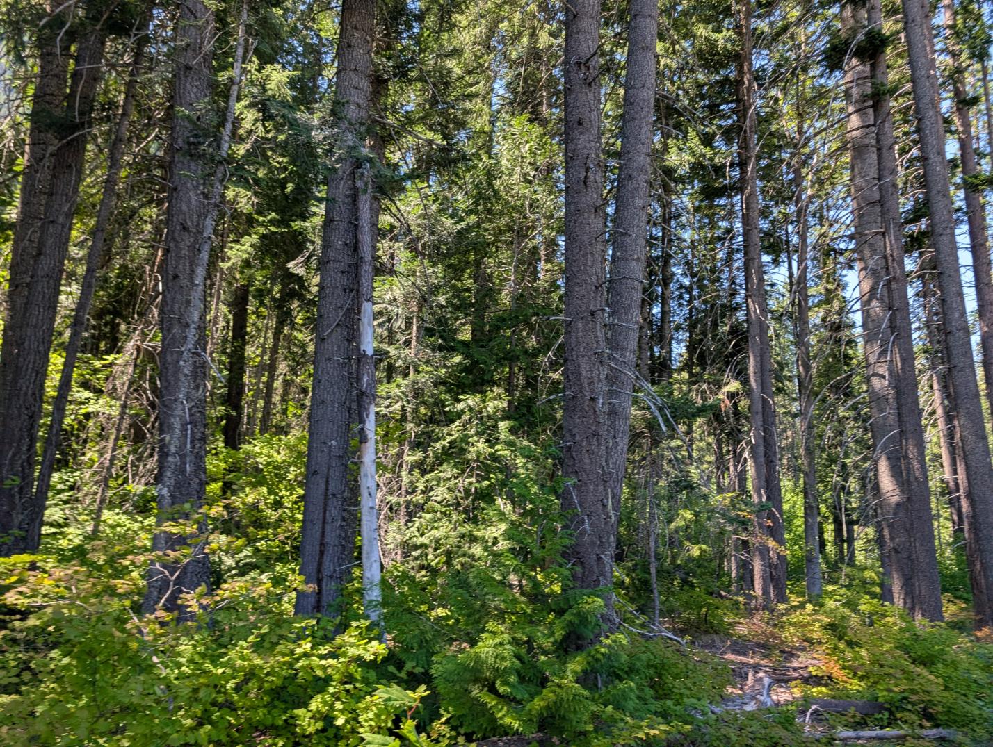 PXL_20250724_195652025