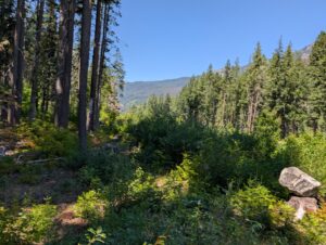 PXL_20250724_195653136