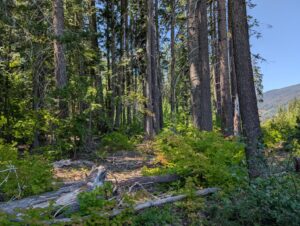 PXL_20250724_195704913