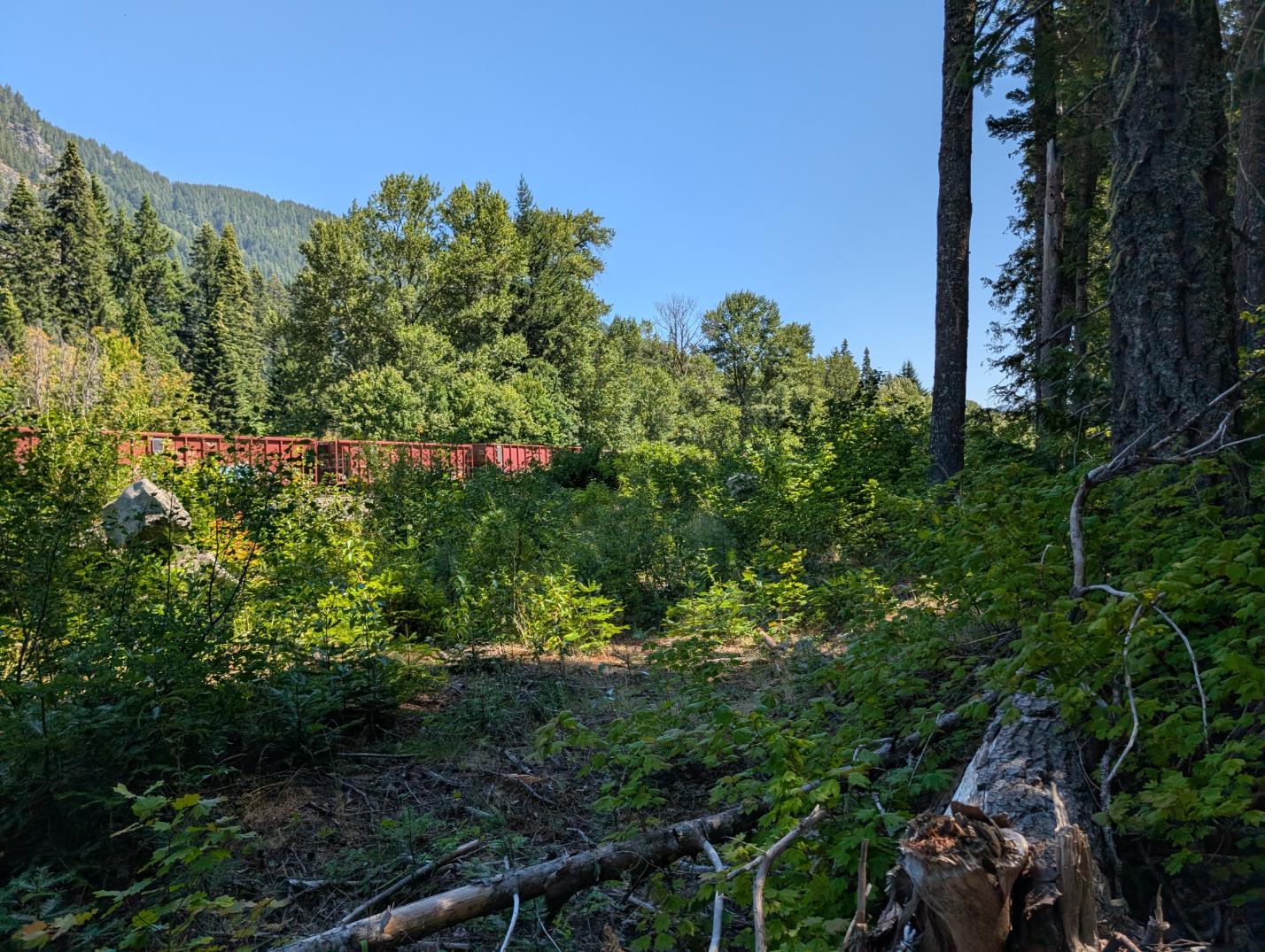 PXL_20250724_195725999