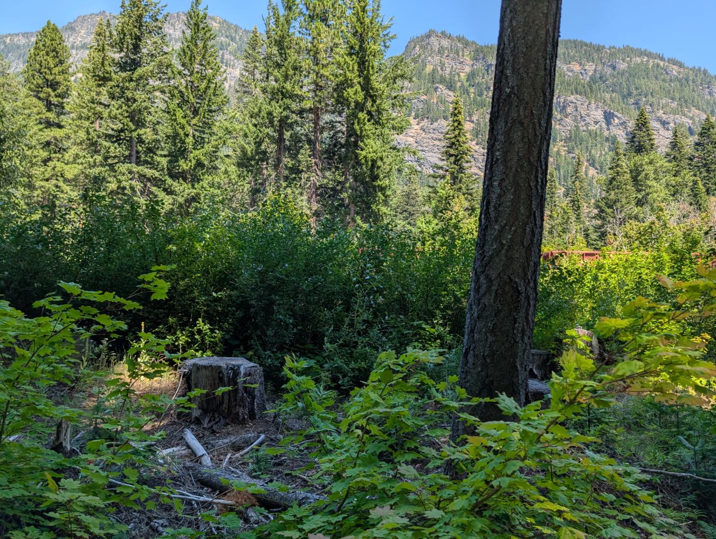 PXL_20250724_195728544