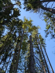 PXL_20250724_195746538