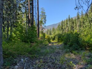 PXL_20250724_195748481