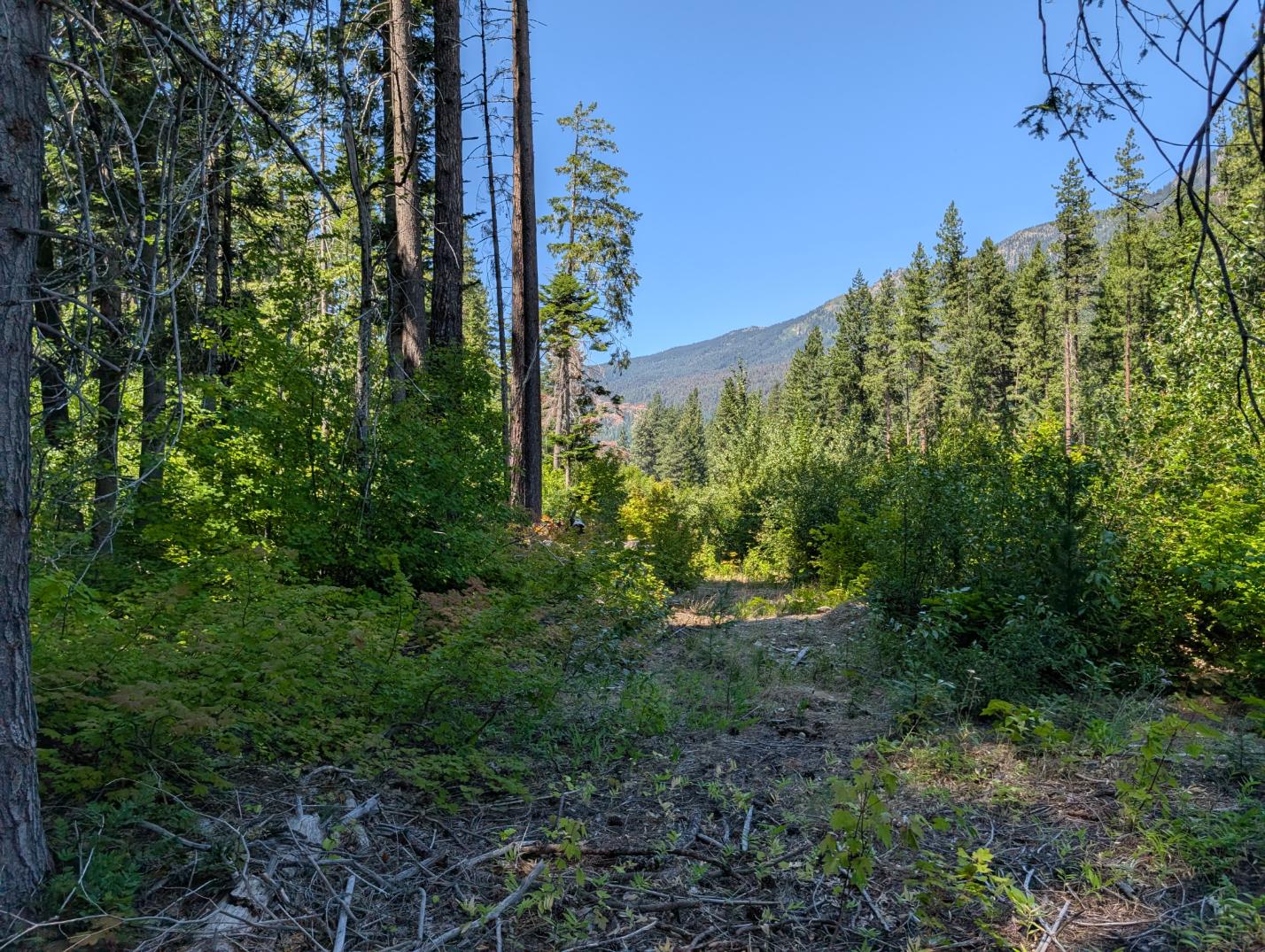 PXL_20250724_195748481