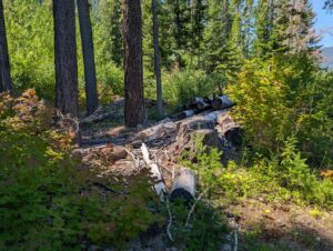 PXL_20250724_195807740