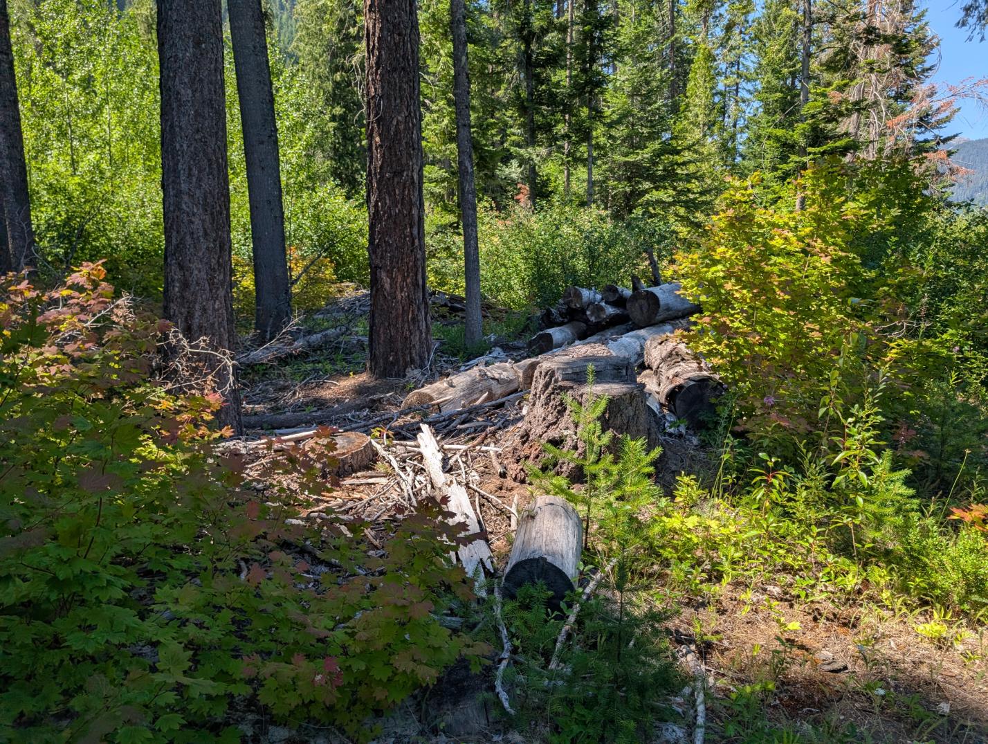 PXL_20250724_195807740