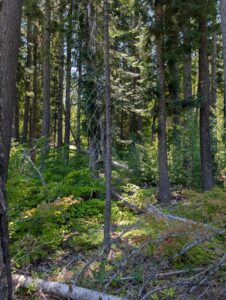 PXL_20250724_195825080