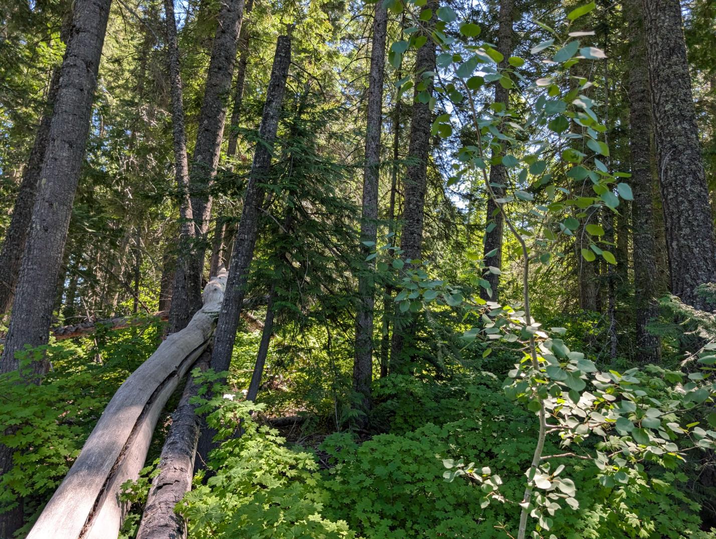 PXL_20250724_195939569