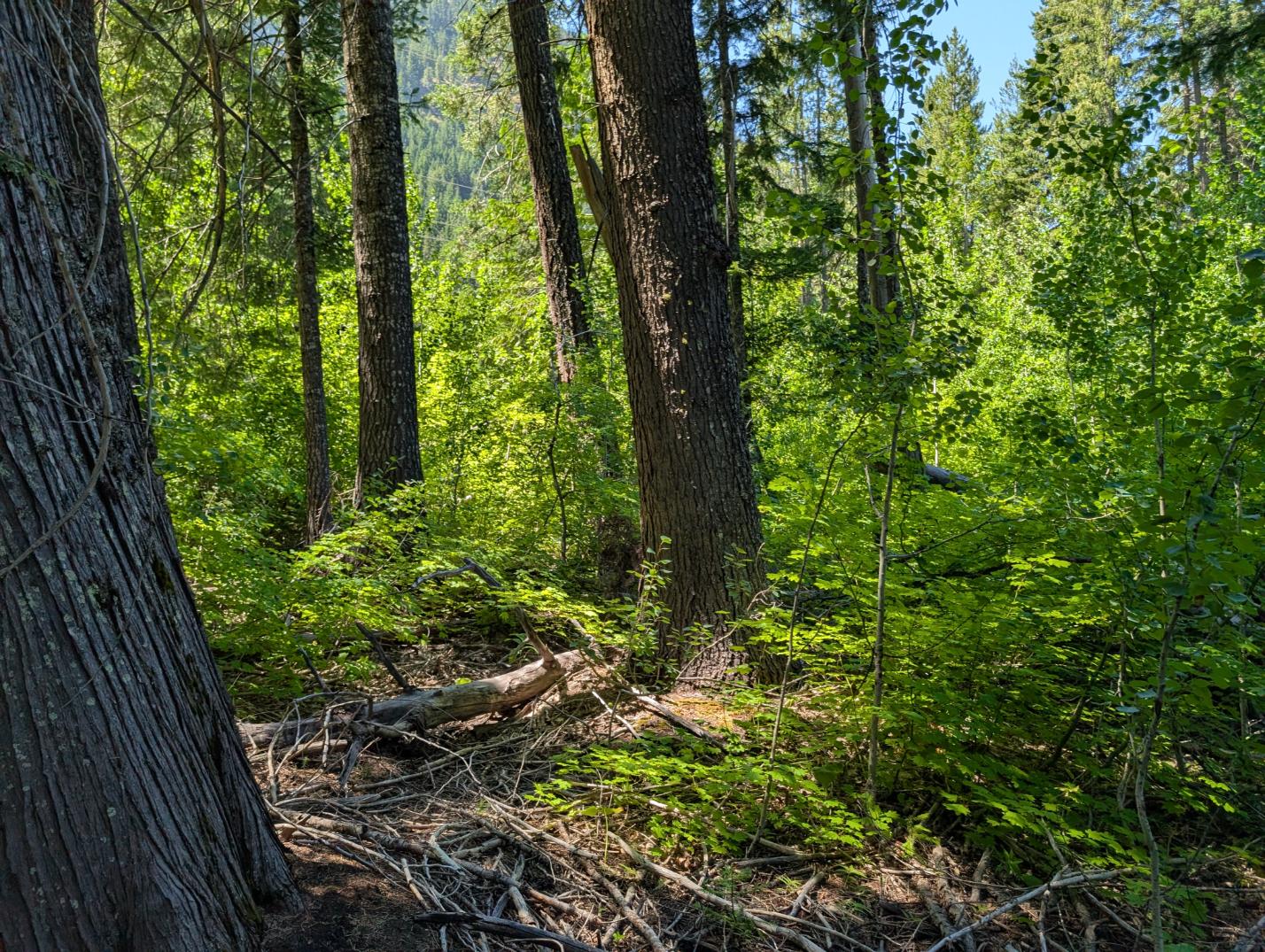 PXL_20250724_195952863