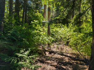 PXL_20250724_195954198