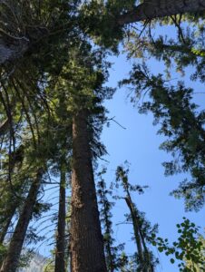 PXL_20250724_200000429