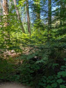 PXL_20250724_200101894