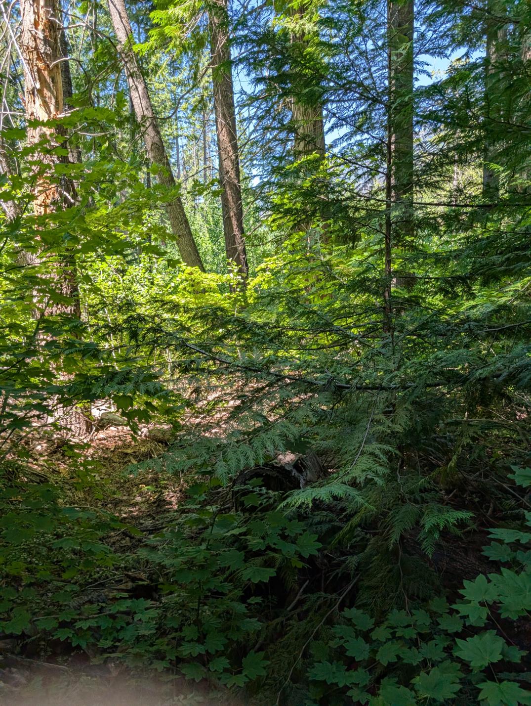 PXL_20250724_200101894