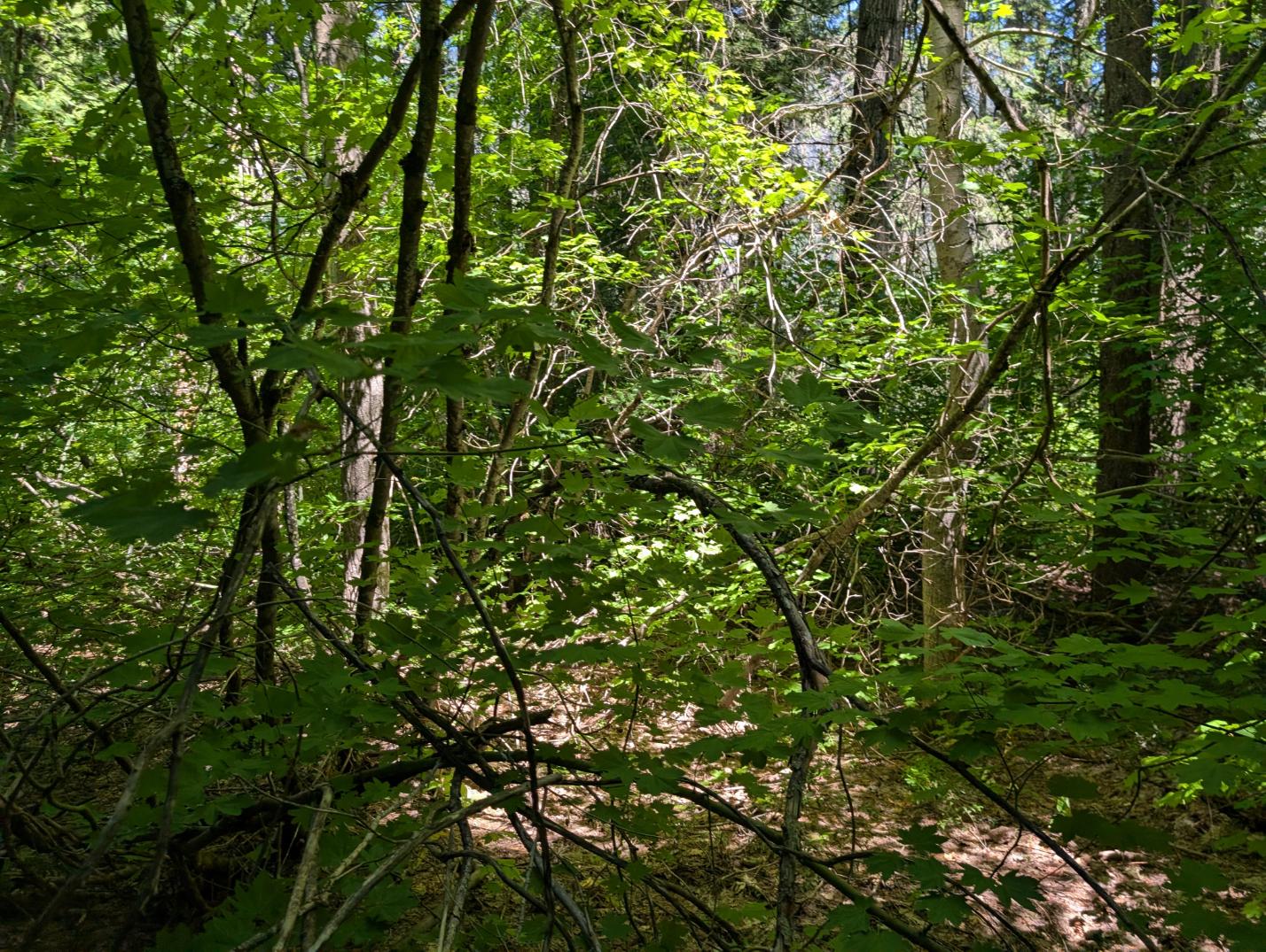 PXL_20250724_200147233