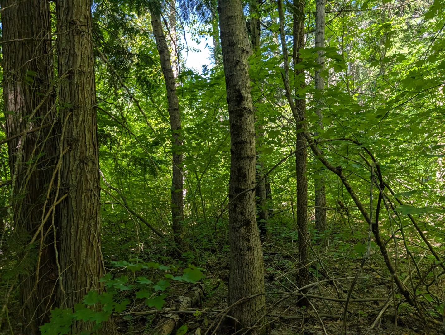 PXL_20250724_200148747