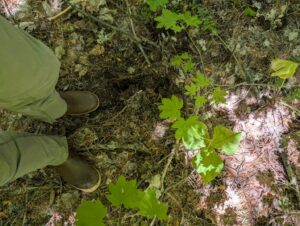 PXL_20250724_200248182