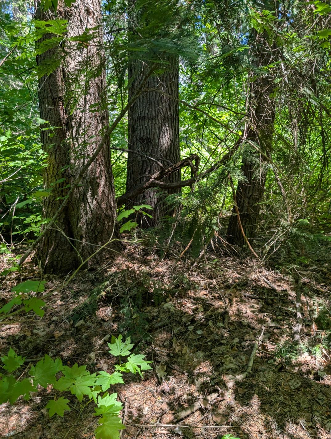 PXL_20250724_200251252