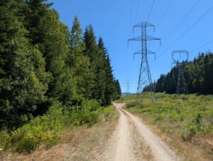 PXL_20250724_200337406