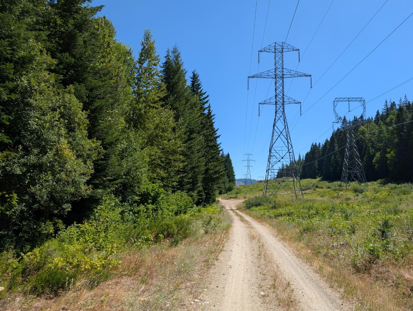 PXL_20250724_200337406