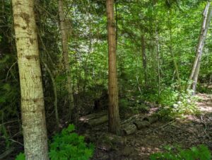 PXL_20250724_200401361