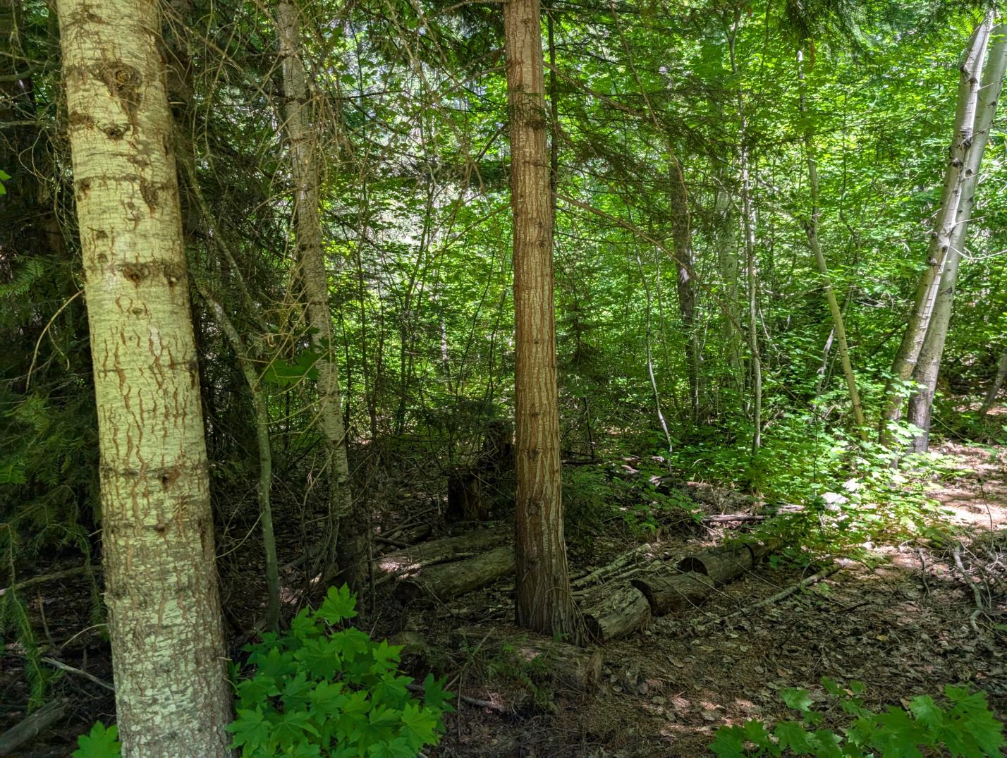 PXL_20250724_200401361