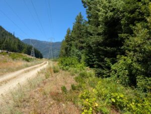 PXL_20250724_200413904