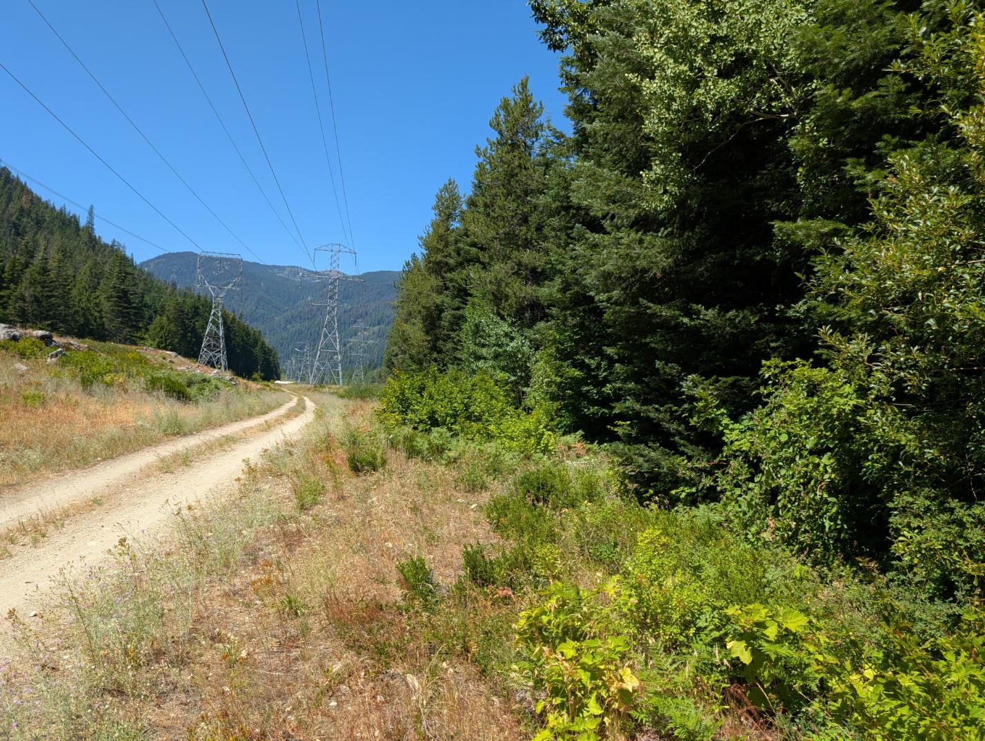 PXL_20250724_200413904