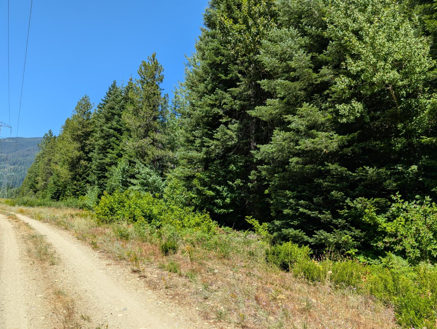 PXL_20250724_200420916