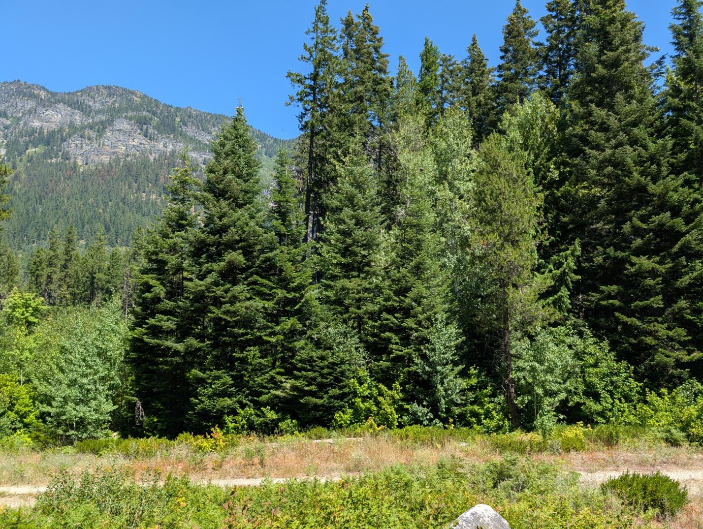 PXL_20250724_200525416