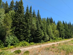 PXL_20250724_200529392