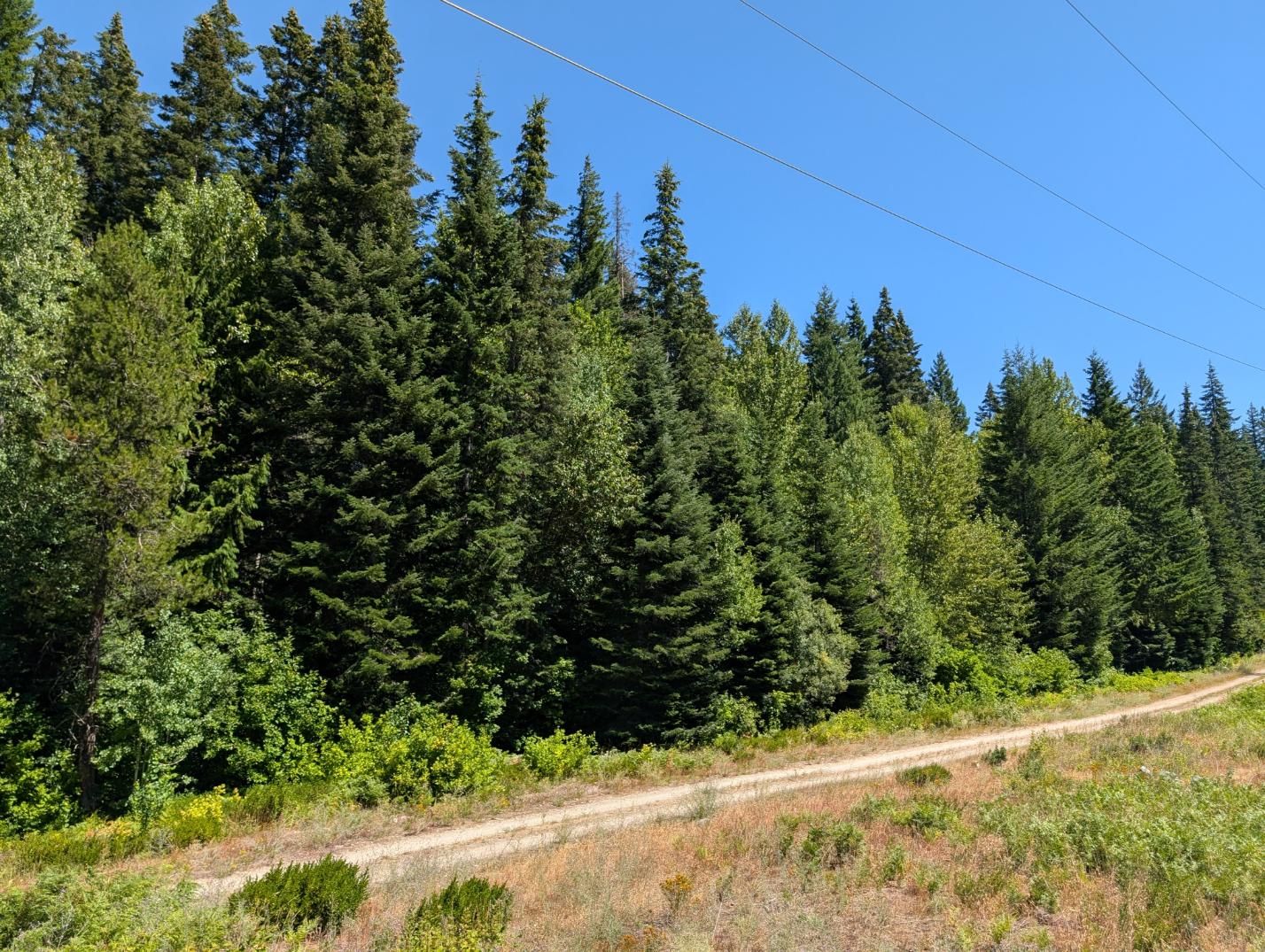 PXL_20250724_200529392