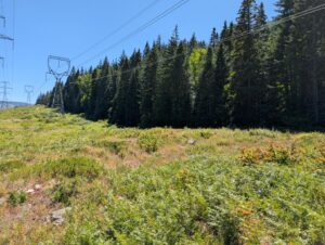 PXL_20250724_200532566