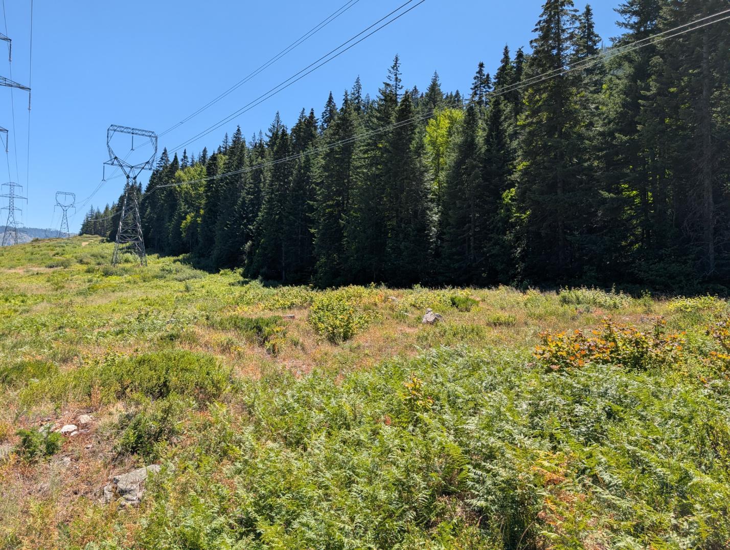 PXL_20250724_200532566