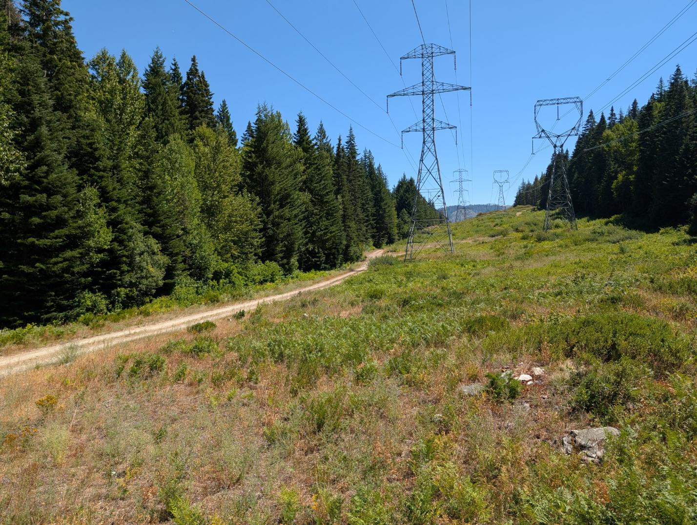 PXL_20250724_200534579