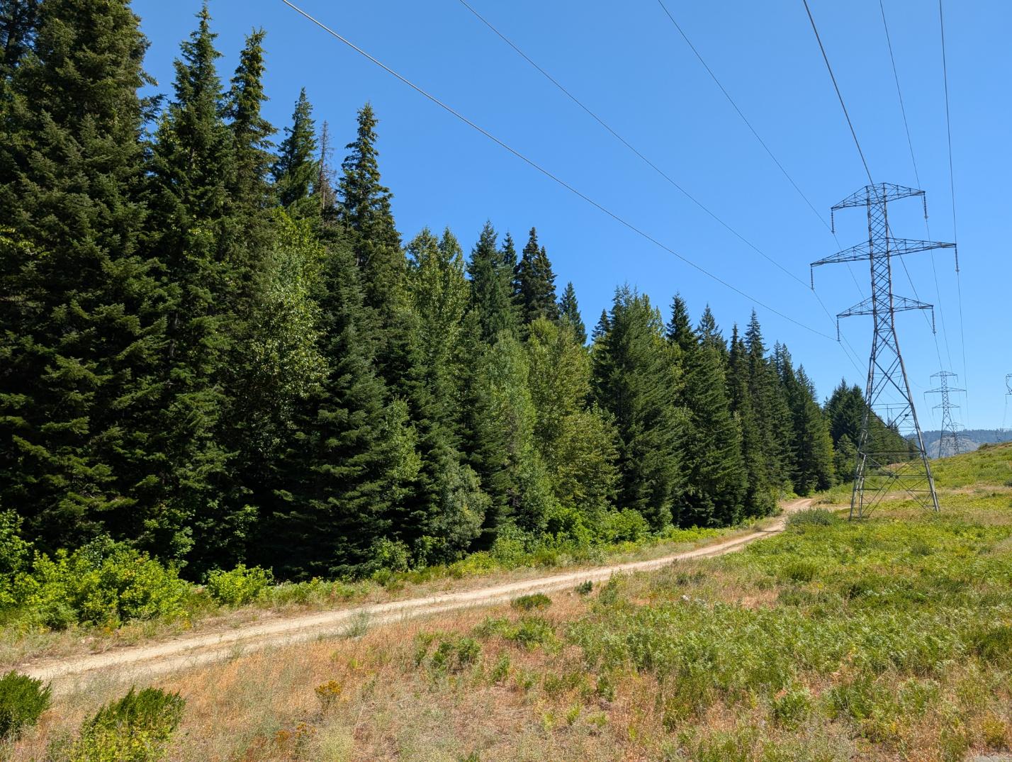 PXL_20250724_200536081