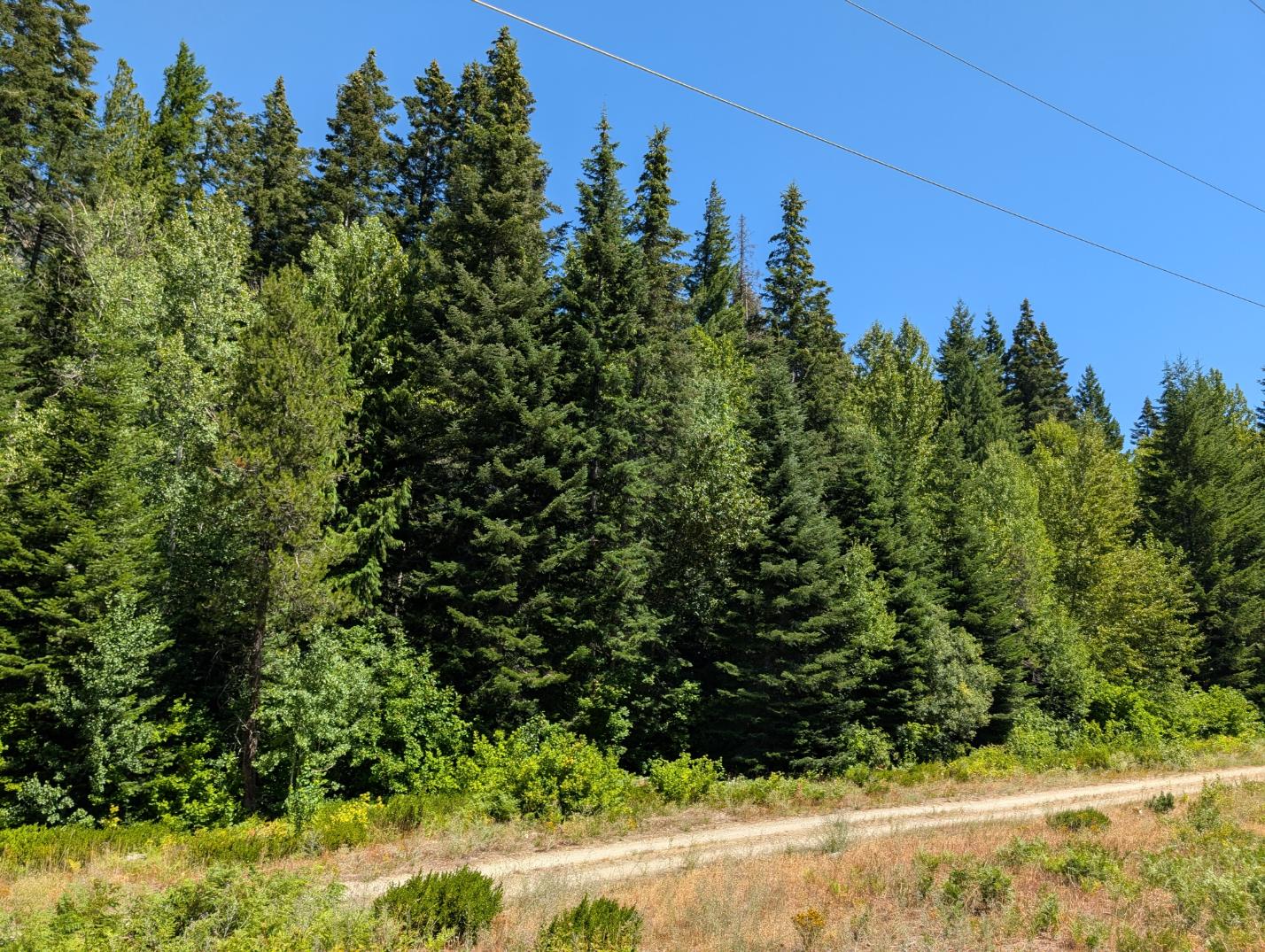 PXL_20250724_200537030