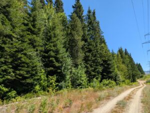 PXL_20250724_200608875