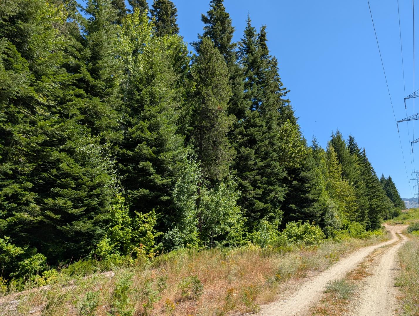 PXL_20250724_200608875