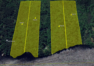 Screenshot-2025-07-17-at-12.09.45 PM