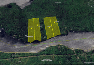 Screenshot-2025-07-17-at-12.11.17 PM