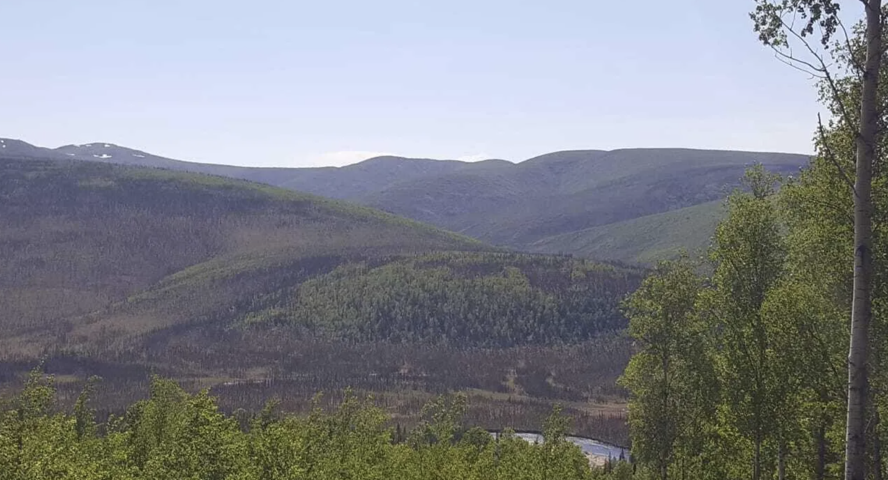 Screenshot 2025-08-18 at 8.20.40 PM